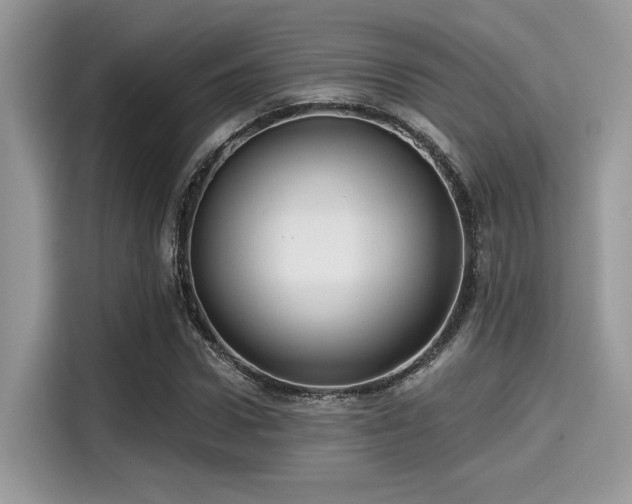 X0000115550922200911131601