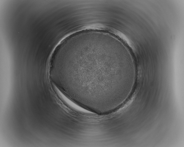 X0000115550923200911131601