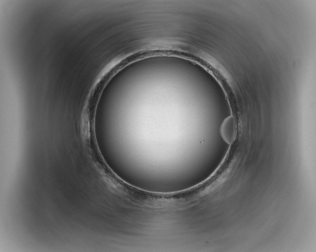 X0000115550925200911131601