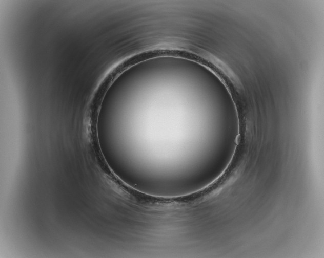 X0000115550926200911131601