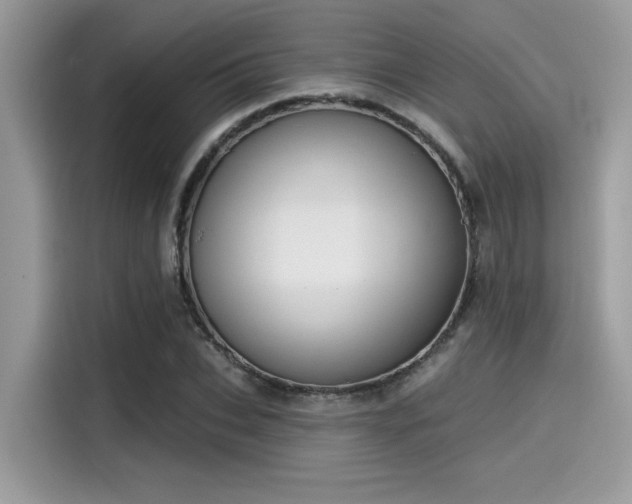 X0000115550927200911131601