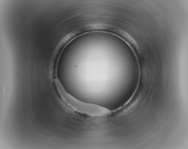 X0000115550930200911131601