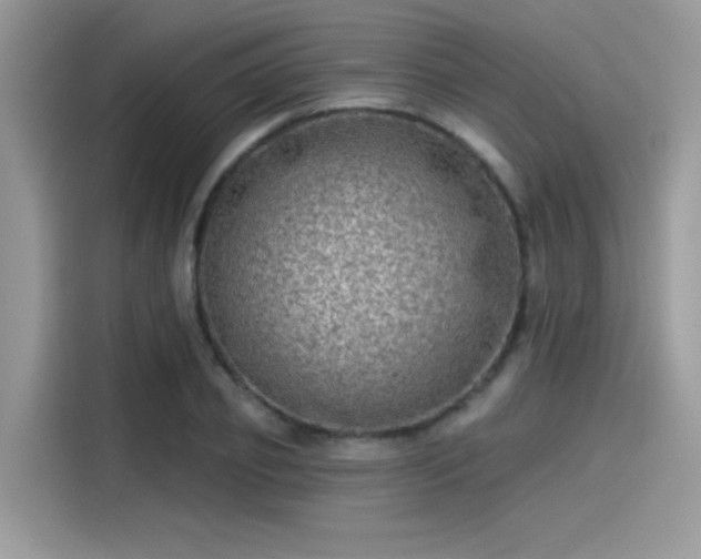 X0000115550933200911131601