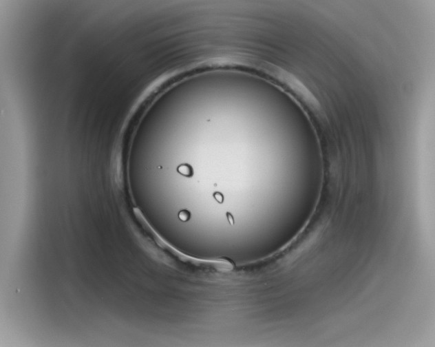 X0000115550934200911131601