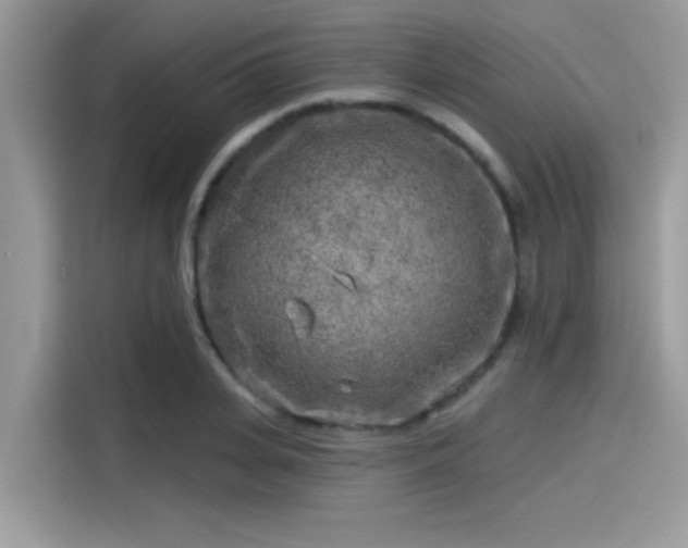 X0000115550935200911131601