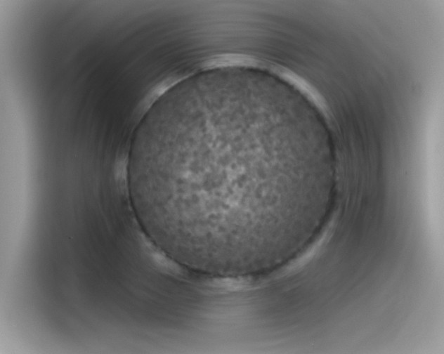 X0000115550937200911131601