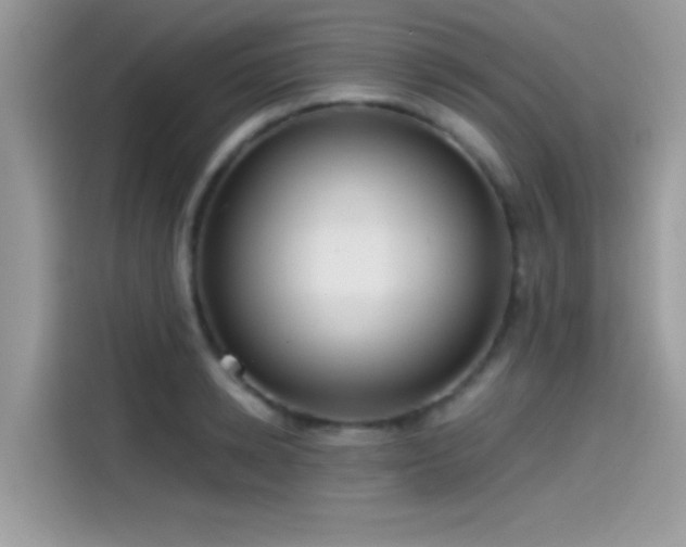 X0000115550942200911131601