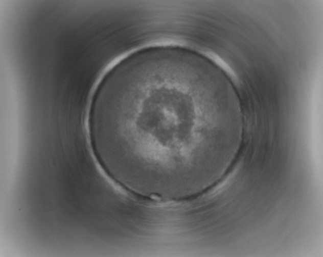 X0000115550943200911131601