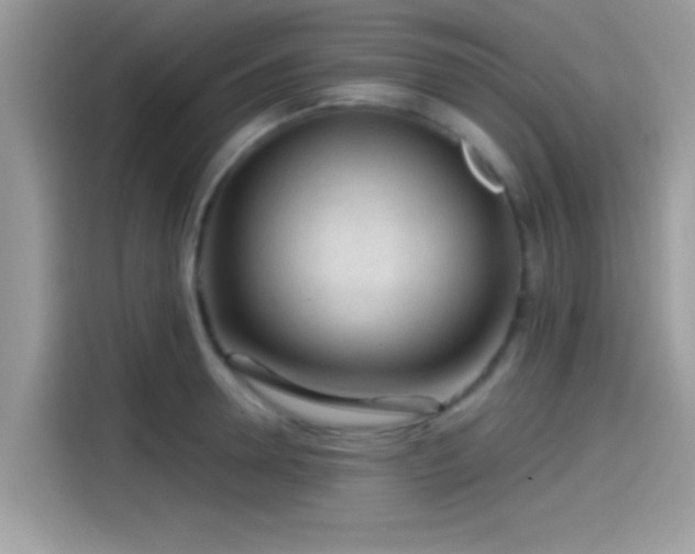 X0000115550946200911131602