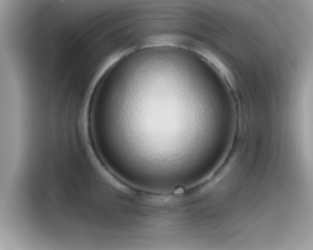 X0000115550949200911131602