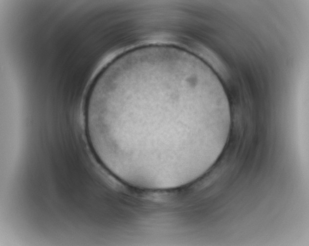 X0000115550950200911131602