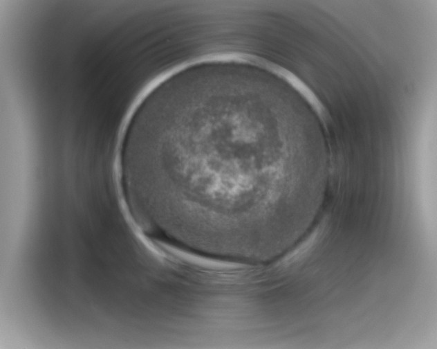 X0000115550951200911131602