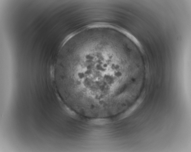 X0000115550953200911131602