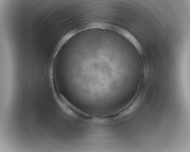 X0000115550954200911131602