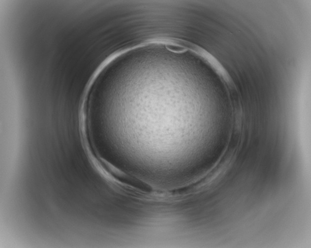 X0000115550955200911131602