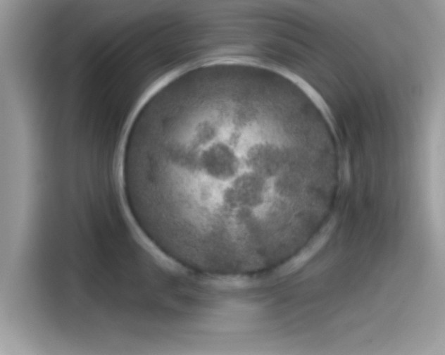 X0000115550957200911131602