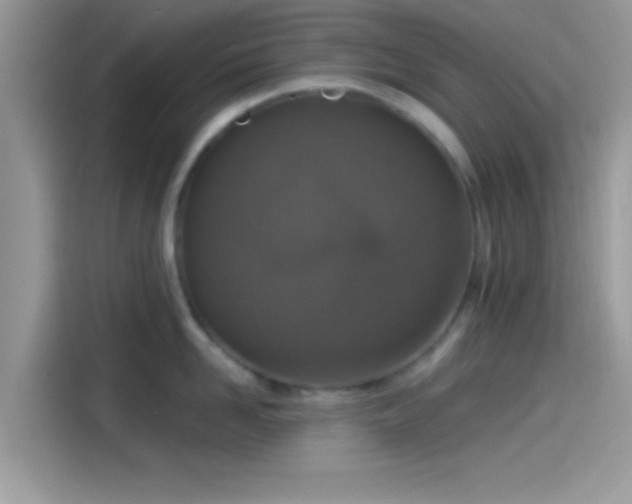 X0000115550958200911131602