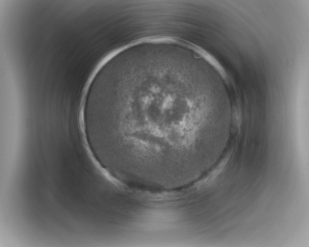 X0000115550959200911131602