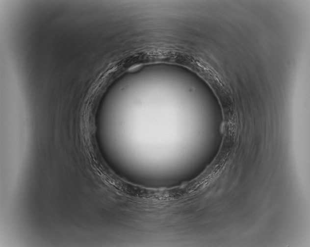 X0000115550961200911131601