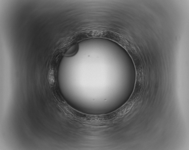 X0000115550962200911131601