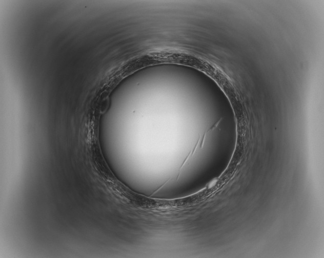 X0000115550965200911131601