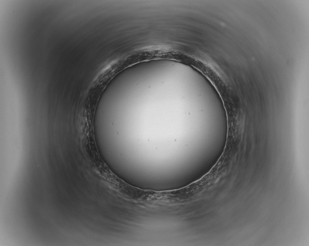 X0000115550967200911131601