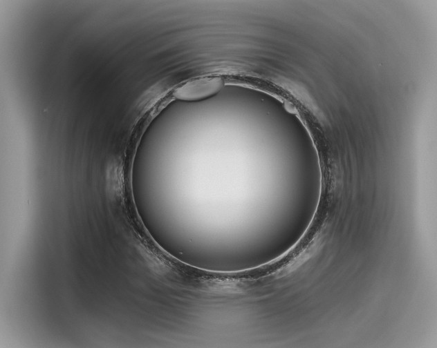 X0000115550969200911131601