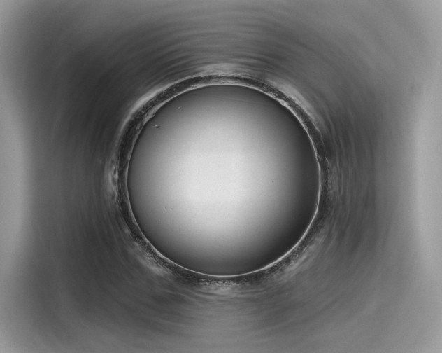 X0000115550971200911131601