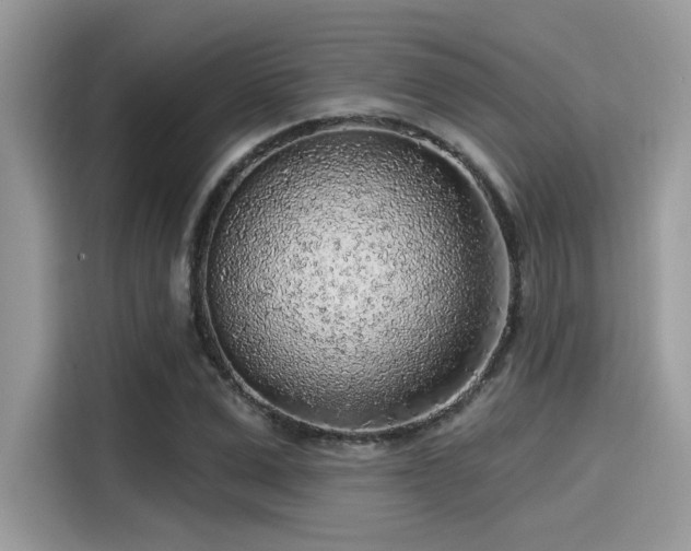 X0000115550975200911131601