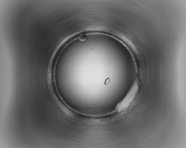 X0000115550976200911131601