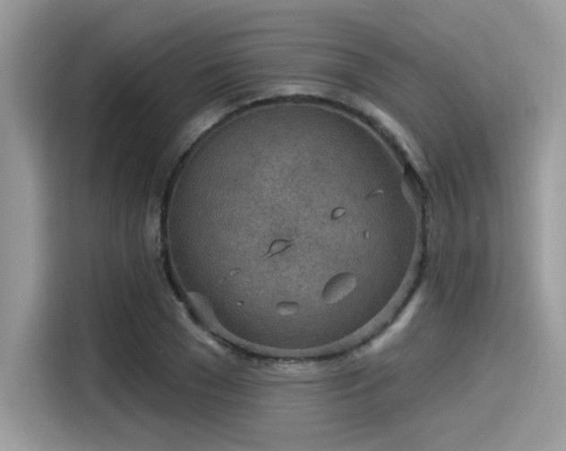 X0000115550977200911131601