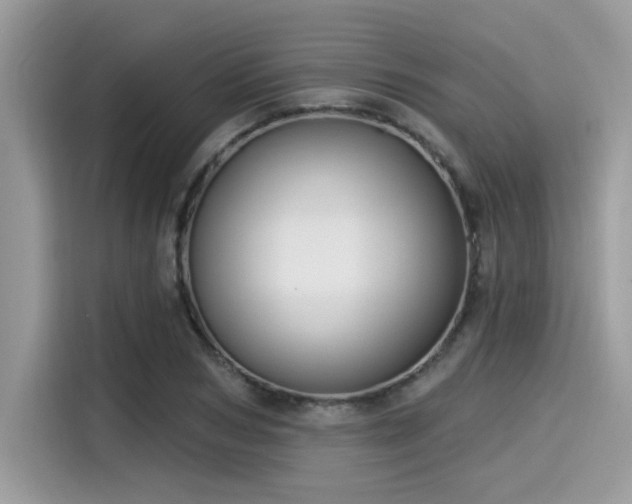 X0000115550978200911131601