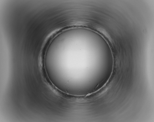 X0000115550979200911131601