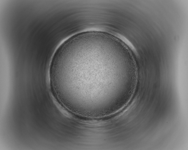 X0000115550980200911131601