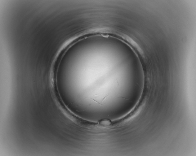 X0000115550981200911131601