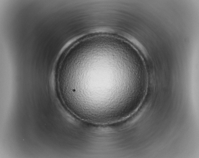 X0000115550983200911131601