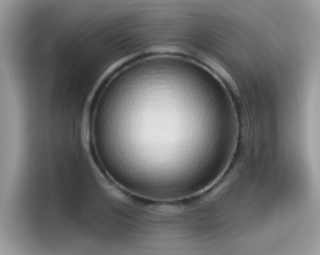 X0000115550984200911131601