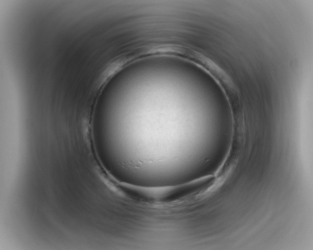 X0000115550985200911131601