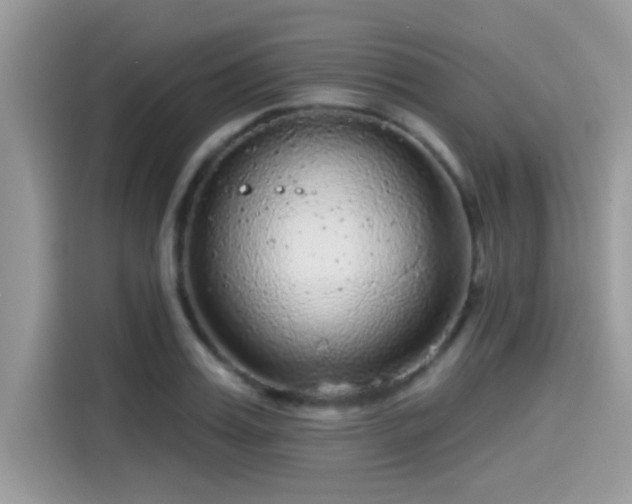 X0000115550987200911131601