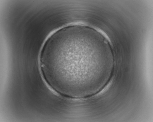 X0000115550989200911131601