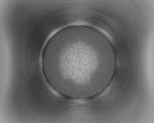 X0000115550990200911131601