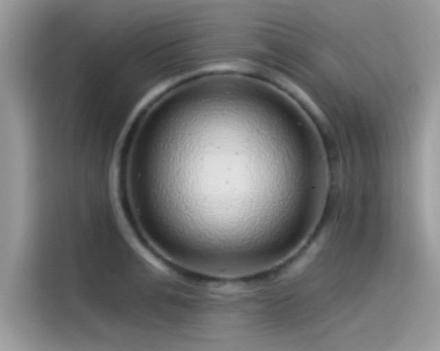 X0000115550991200911131601