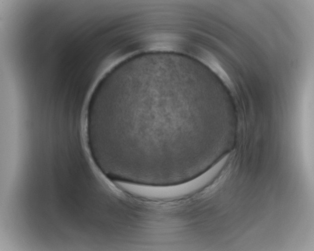 X0000115550992200911131601