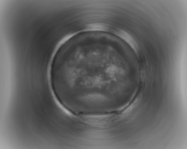 X0000115550995200911131601