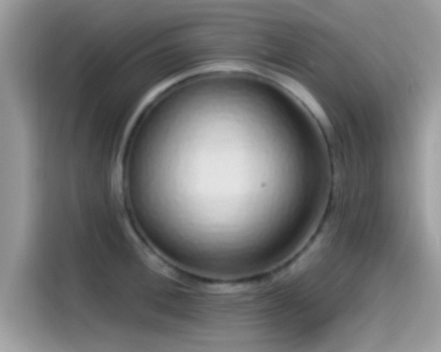 X0000115550996200911131600