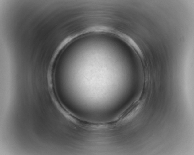 X0000115550997200911131600