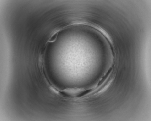 X0000115551001200911131600