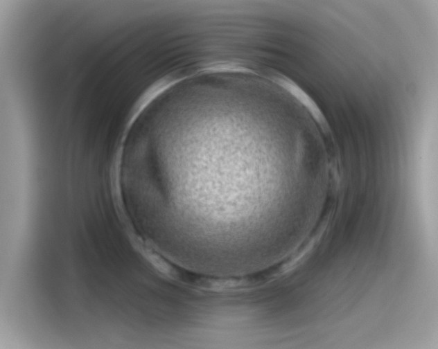 X0000115551002200911131600