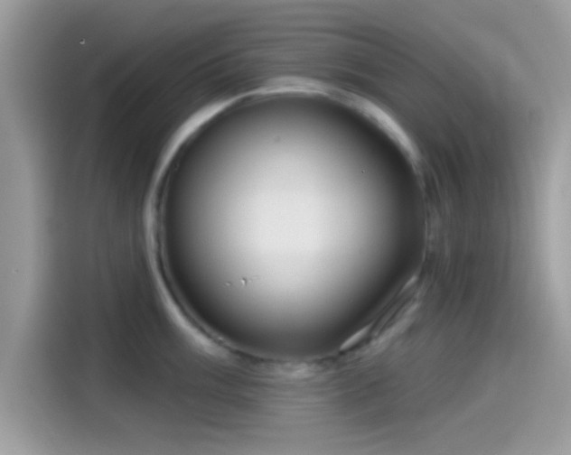 X0000115551003200911131600