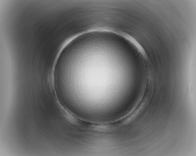 X0000115551004200911131600